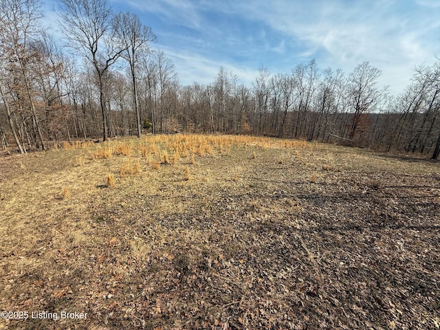 0 Big Lick Hollow Rd, New Haven, KY 40051 - photo 45