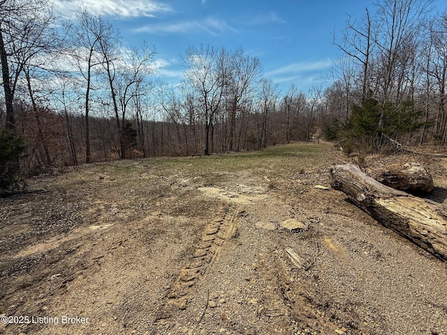 0 Big Lick Hollow Rd, New Haven, KY 40051 - photo 46