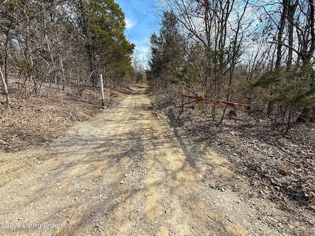 0 Big Lick Hollow Rd, New Haven, KY 40051 - photo 47
