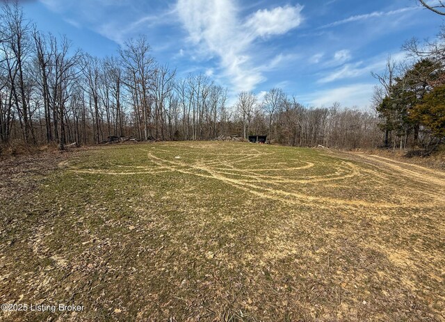 0 Big Lick Hollow Rd, New Haven, KY 40051 - photo 49