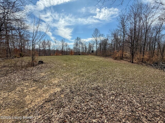0 Big Lick Hollow Rd, New Haven, KY 40051 - photo 50