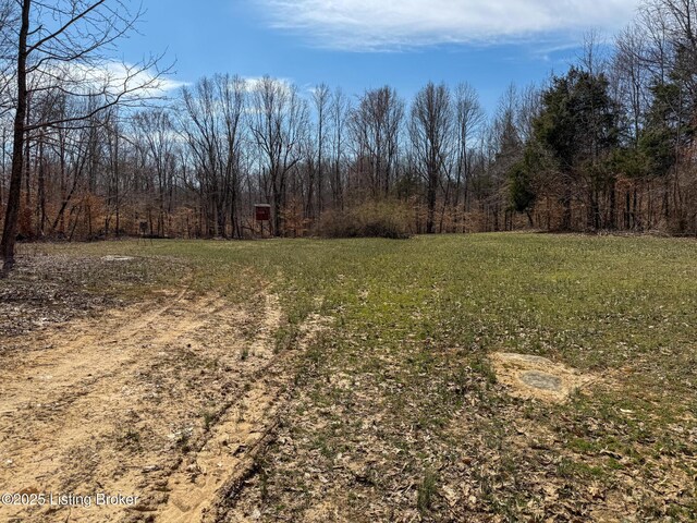 0 Big Lick Hollow Rd, New Haven, KY 40051 - photo 52