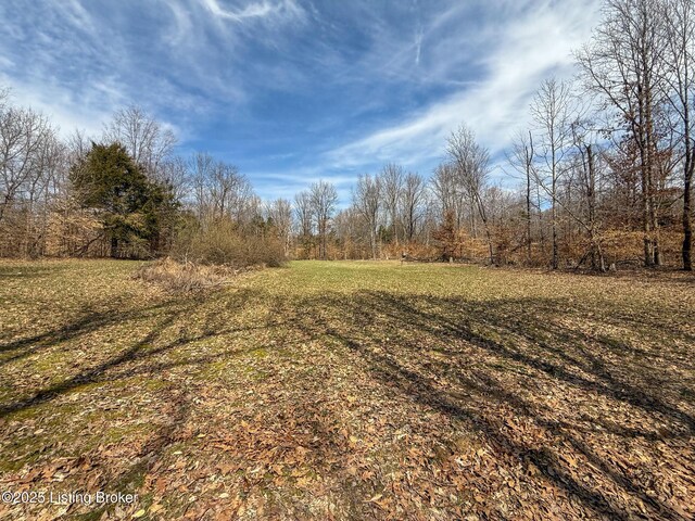 0 Big Lick Hollow Rd, New Haven, KY 40051 - photo 54