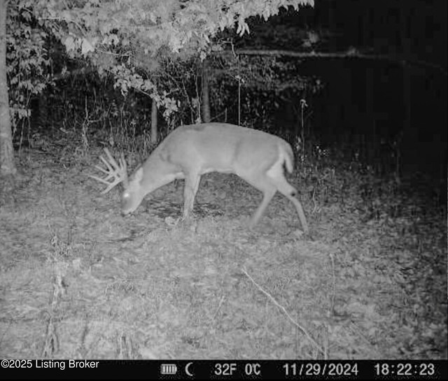 0 Big Lick Hollow Rd, New Haven, KY 40051 - photo 4