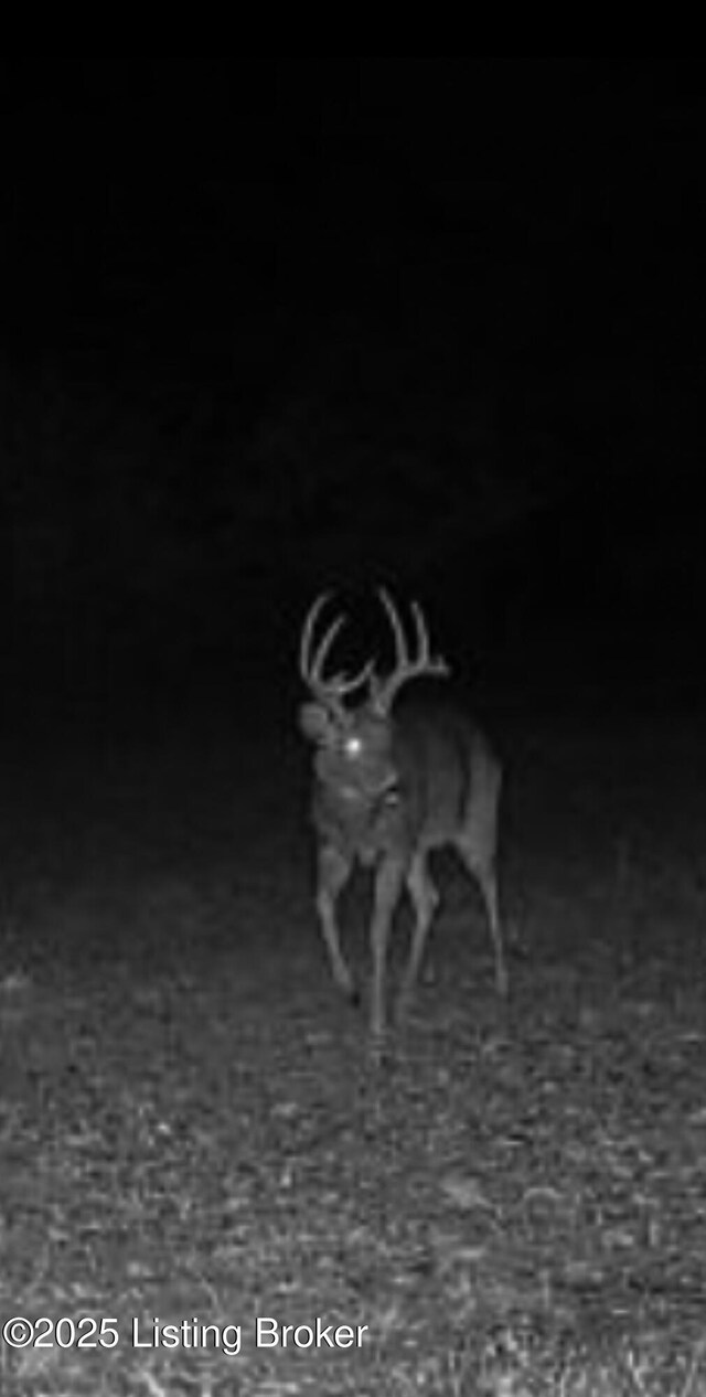 0 Big Lick Hollow Rd, New Haven, KY 40051 - photo 57