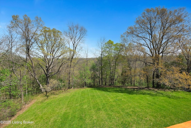 7700 Organ Creek Rd, Pendleton, KY 40055 - view of yard featuring a view of trees