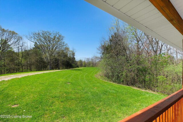 7700 Organ Creek Rd, Pendleton, KY 40055 - view of yard featuring a view of trees
