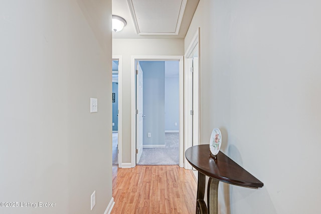 hall featuring light wood finished floors, baseboards, and attic access