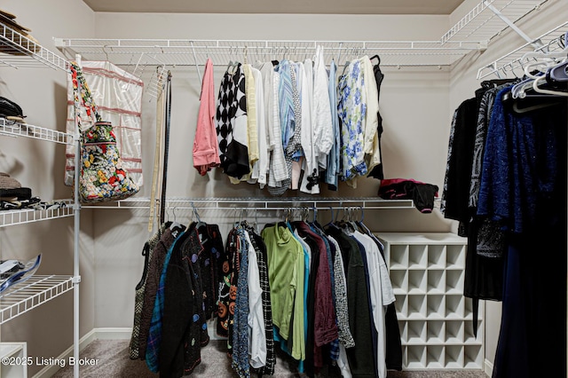 walk in closet with carpet flooring