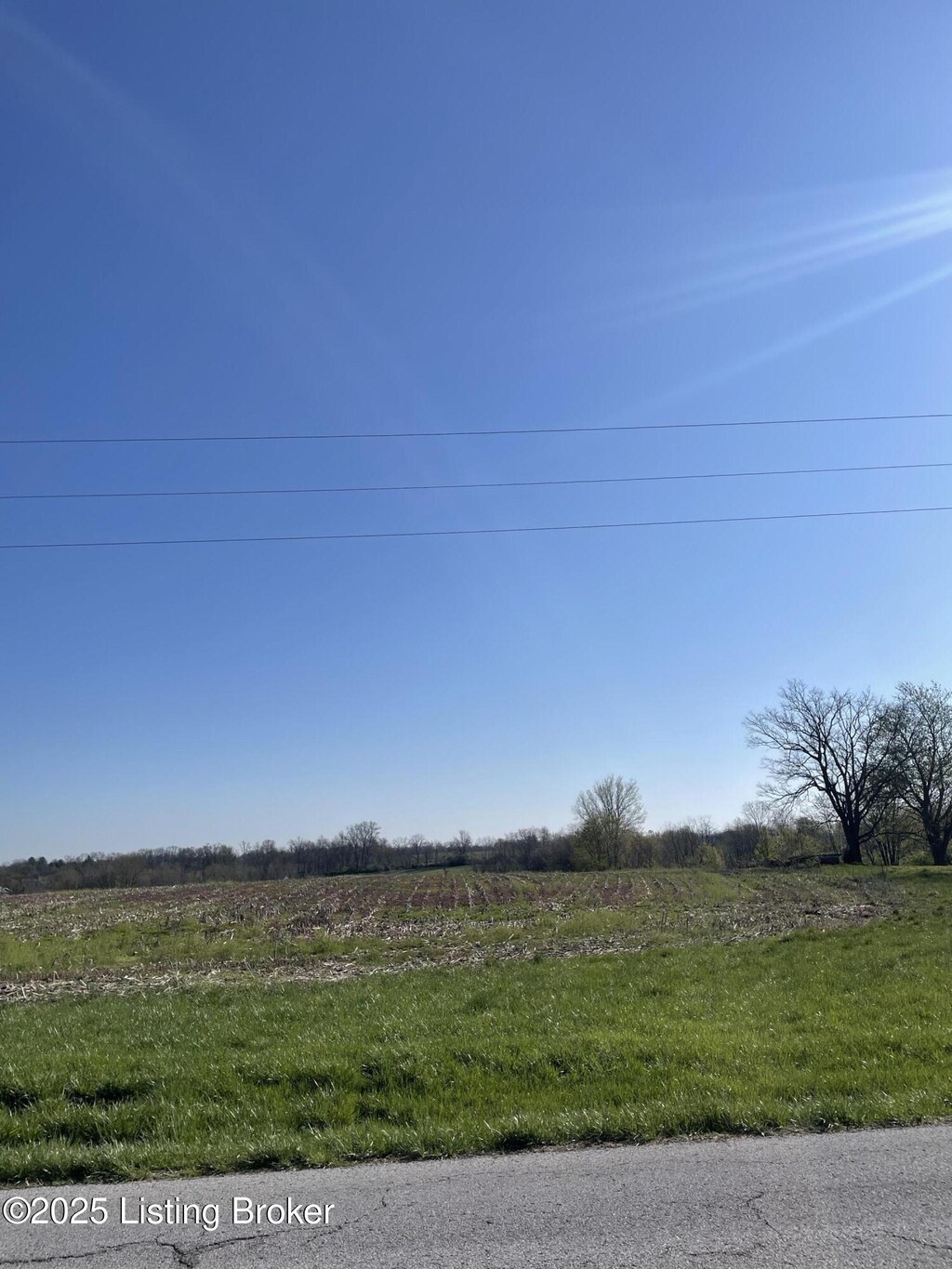 2212 Sulphur Rd, New Castle, KY 40050 - photo 1
