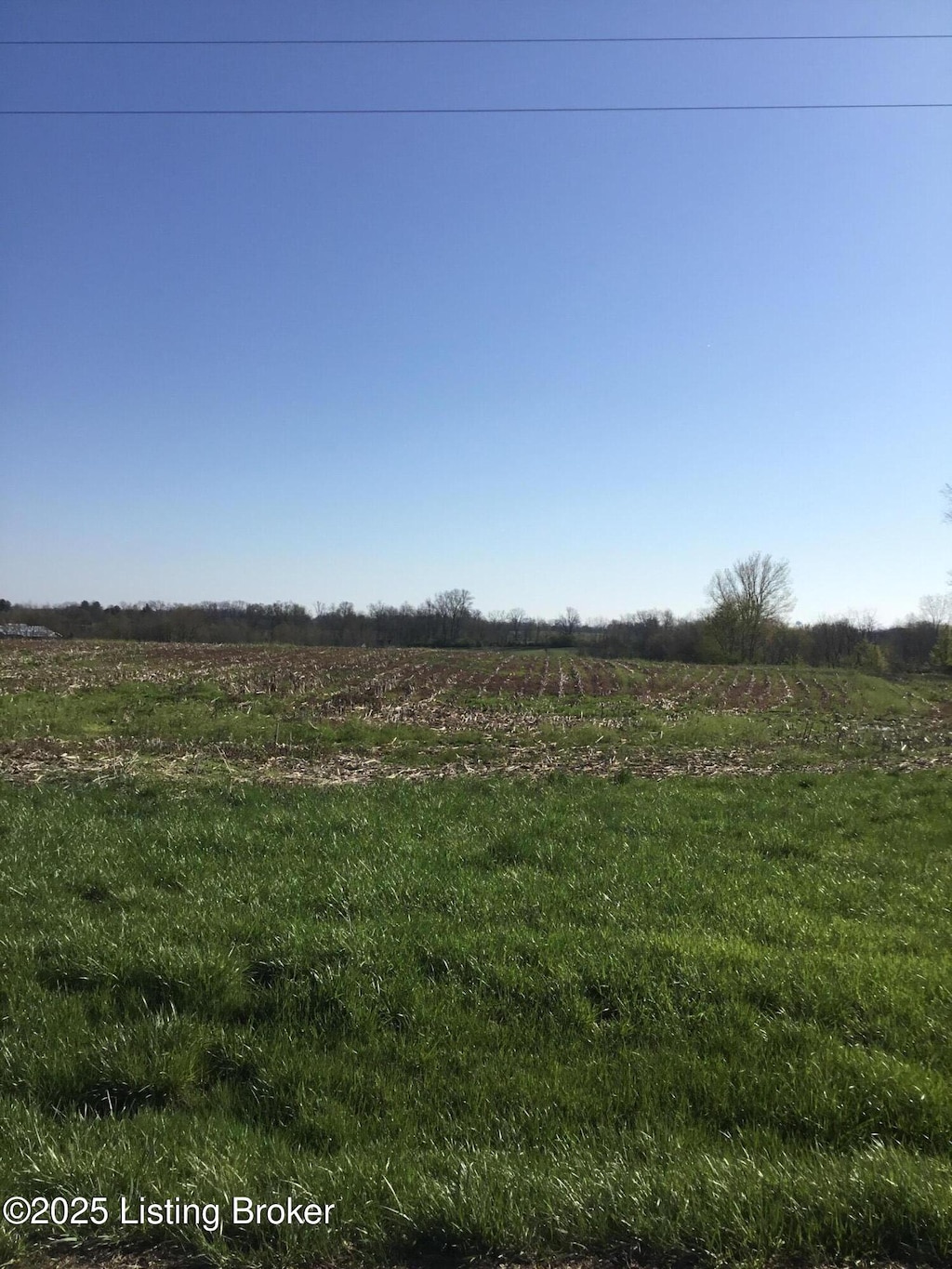 2212 Sulphur Rd, New Castle, KY 40050 - photo 2