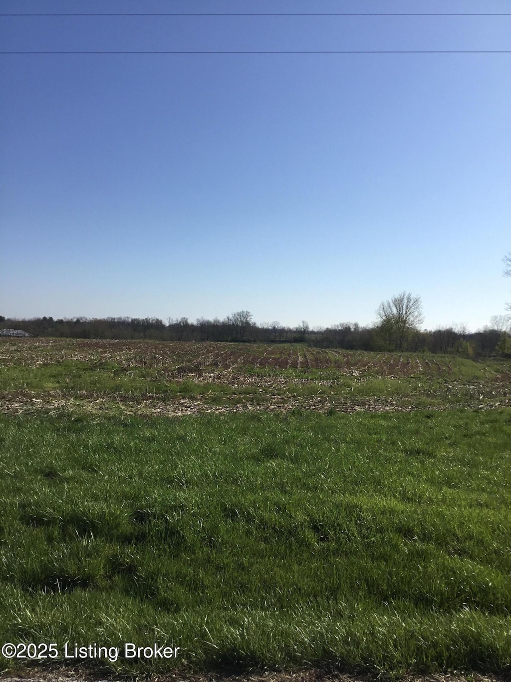 2212 Sulphur Rd, New Castle, KY 40050 - photo 3