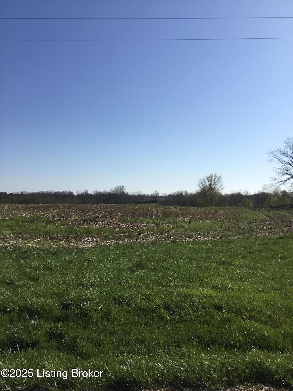 2212 Sulphur Rd, New Castle, KY 40050 - photo 4