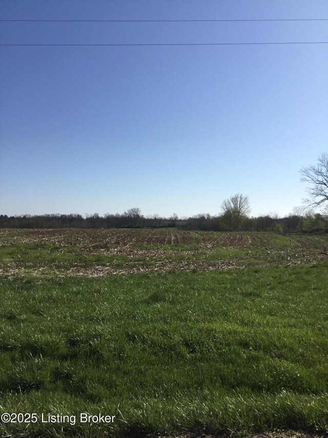 2212 Sulphur Rd, New Castle, KY 40050 - photo 4