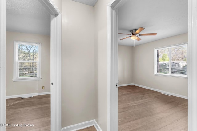 hall featuring baseboards, wood finished floors, and a wealth of natural light