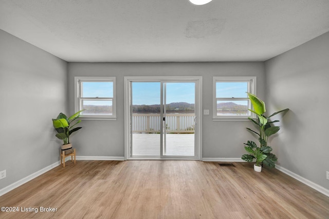 doorway with a healthy amount of sunlight, light wood finished floors, baseboards, and visible vents