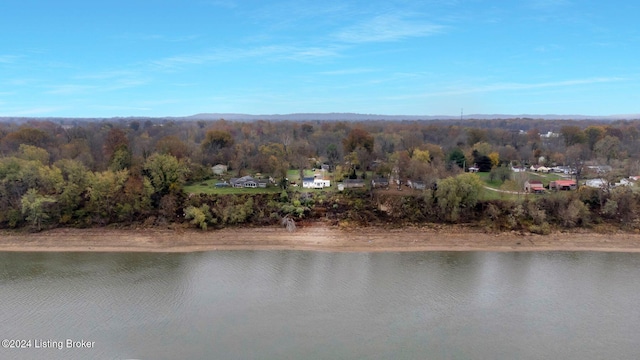 property view of water featuring a wooded view
