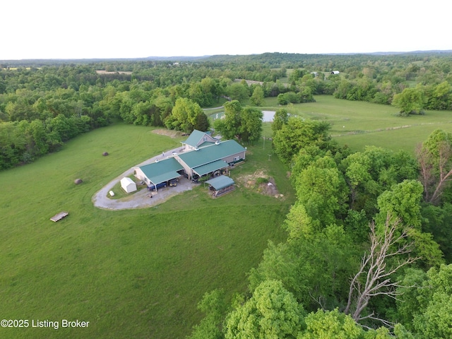 101 Crooked Creek Church Rd, Marion, KY 42064 - photo 3
