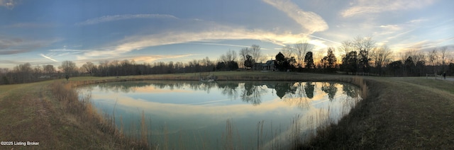101 Crooked Creek Church Rd, Marion, KY 42064 - photo 8