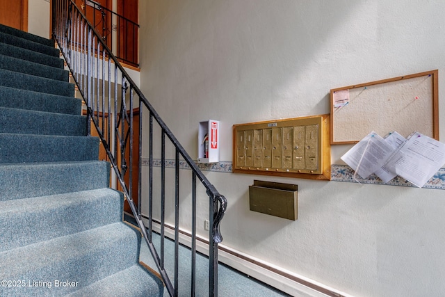 stairway with carpet floors