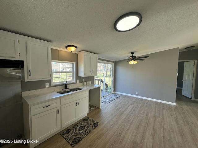 kitchen featuring fridge, light wood-type flooring, a sink, and a ceiling fan