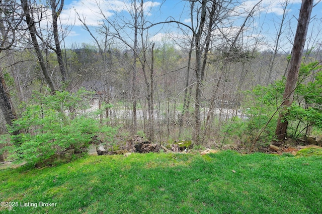 178 Bluffs Edge Dr, Mt Washington, KY 40047 - view of yard with a wooded view