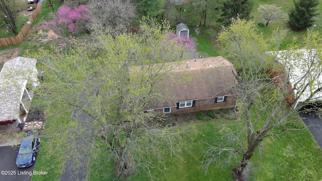 bird's eye view