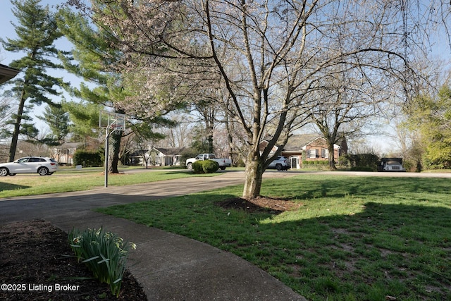 view of yard