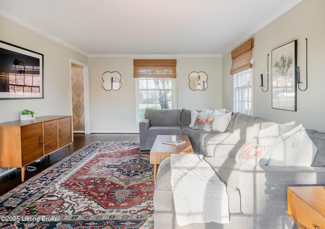 living area featuring ornamental molding, baseboards, and wood finished floors