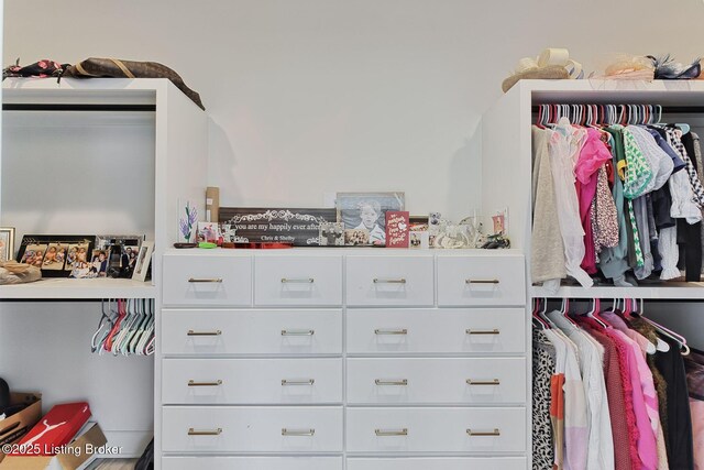 view of spacious closet