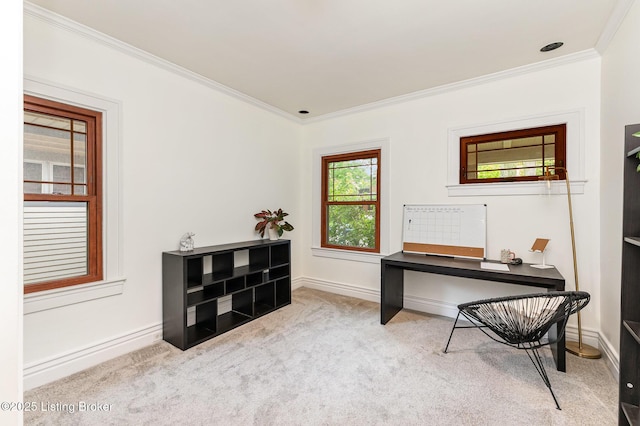2103 Woodbourne Ave, Louisville, KY 40205 - photo 23