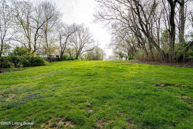 view of yard
