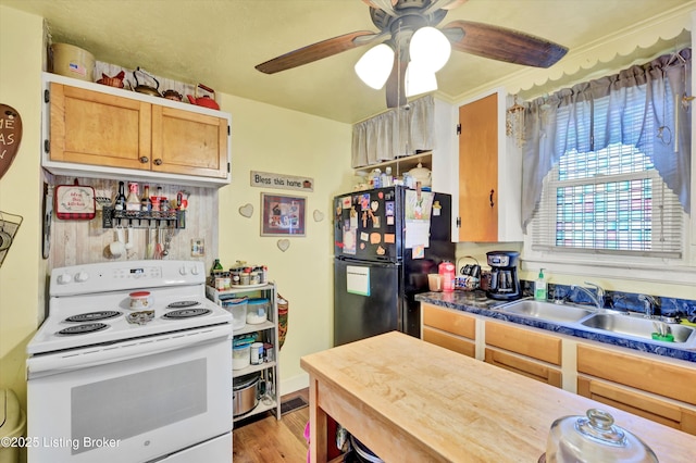 kitchen with a ceiling fan, a sink, light wood finished floors, white electric range, and freestanding refrigerator
