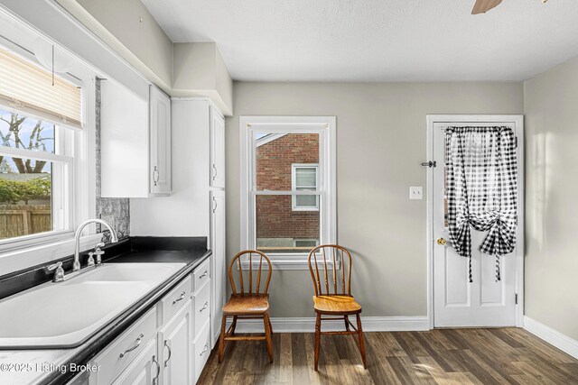 kitchen featuring baseboards, dark wood-style floors, white cabinets, stainless steel dishwasher, and a sink