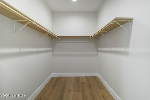 spacious closet featuring wood finished floors