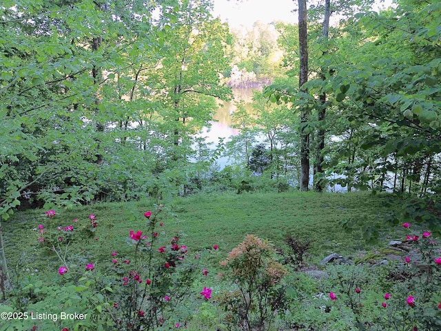 525 N Riverbend Rd, Leitchfield, KY 42754 - view of woods