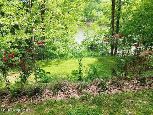 525 N Riverbend Rd, Leitchfield, KY 42754 - view of green lawn