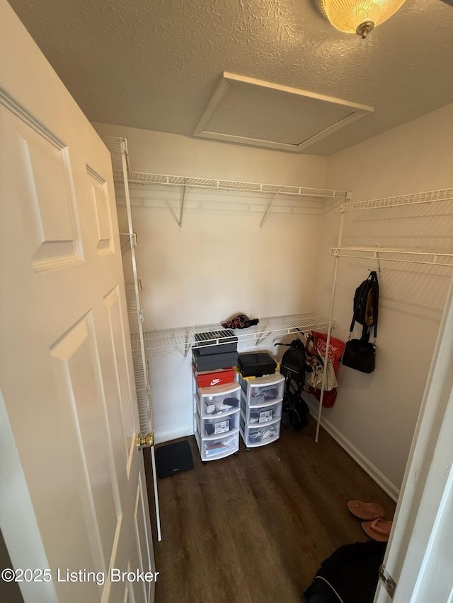 7213 Hassock Dr, Louisville, KY 40258 - spacious closet featuring attic access and wood finished floors