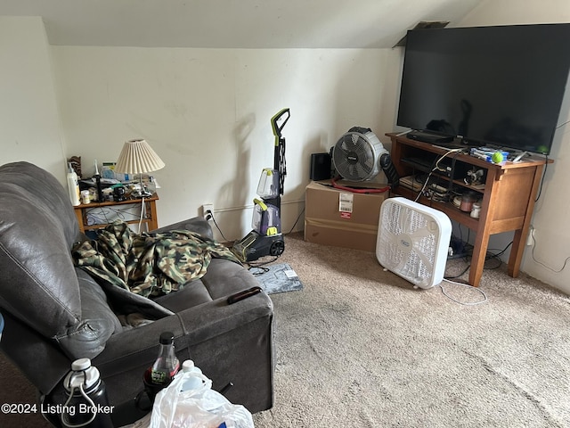 1212 Queen Ave, Louisville, KY 40215 - additional living space featuring vaulted ceiling and carpet floors