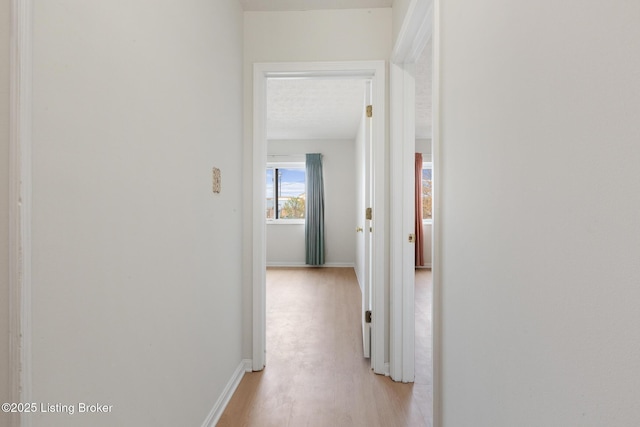3030 Breckenridge Ln Unit 204, Louisville, KY 40220 - photo 21