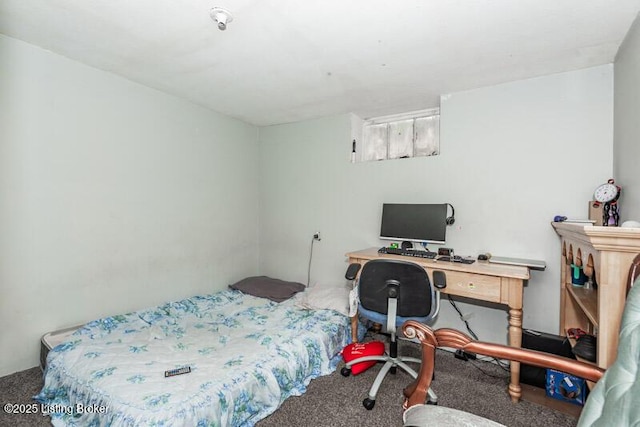 bedroom with carpet floors