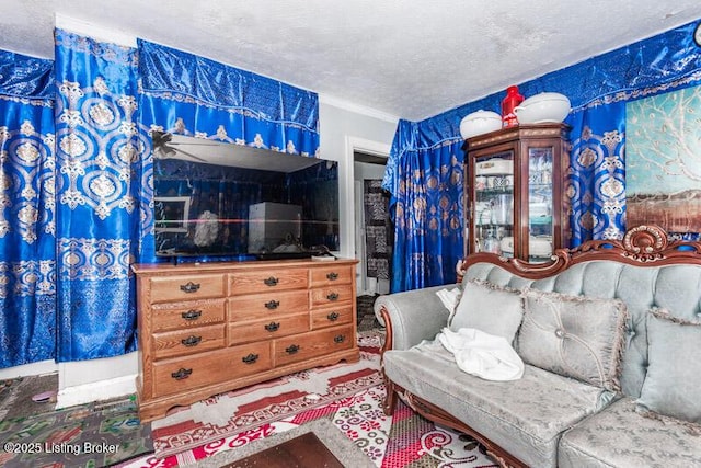 living room featuring a textured ceiling and crown molding