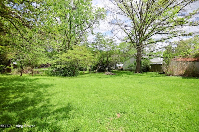 7407 Meadow Rd, Crestwood, KY 40014 - view of yard