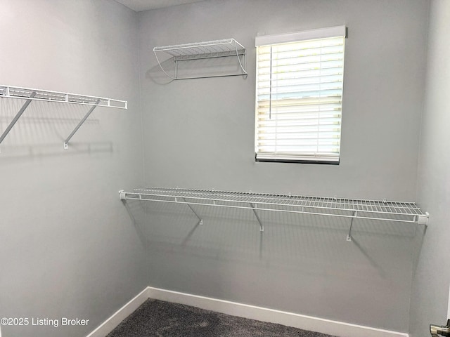 view of spacious closet
