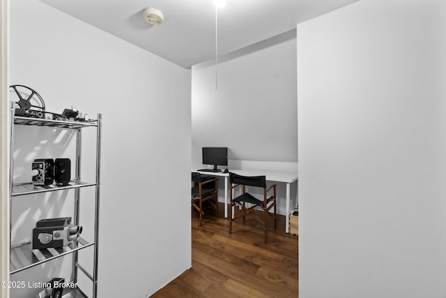 office featuring wood finished floors