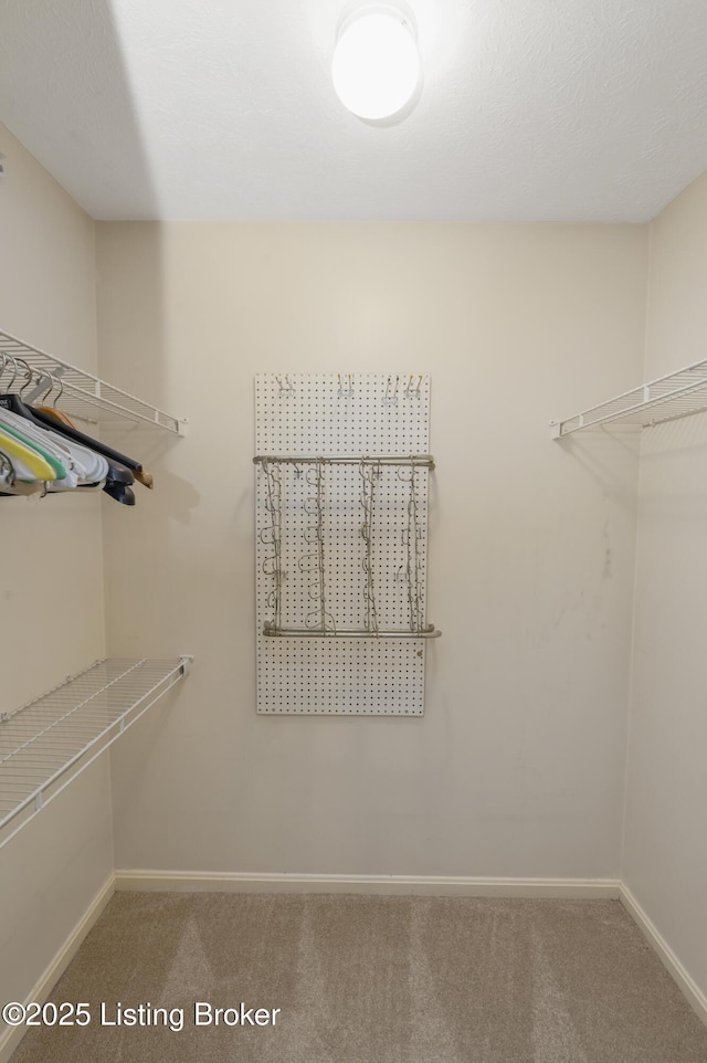 8509 Atrium Dr Unit 102, Louisville, KY 40220 - photo 24