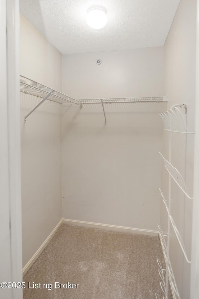 8509 Atrium Dr Unit 102, Louisville, KY 40220 - photo 28