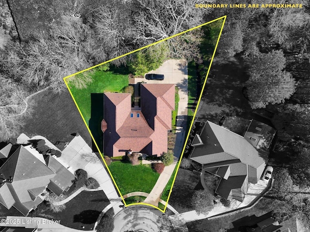 aerial view