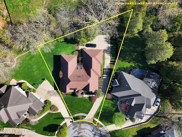 bird's eye view