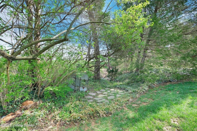 view of landscape
